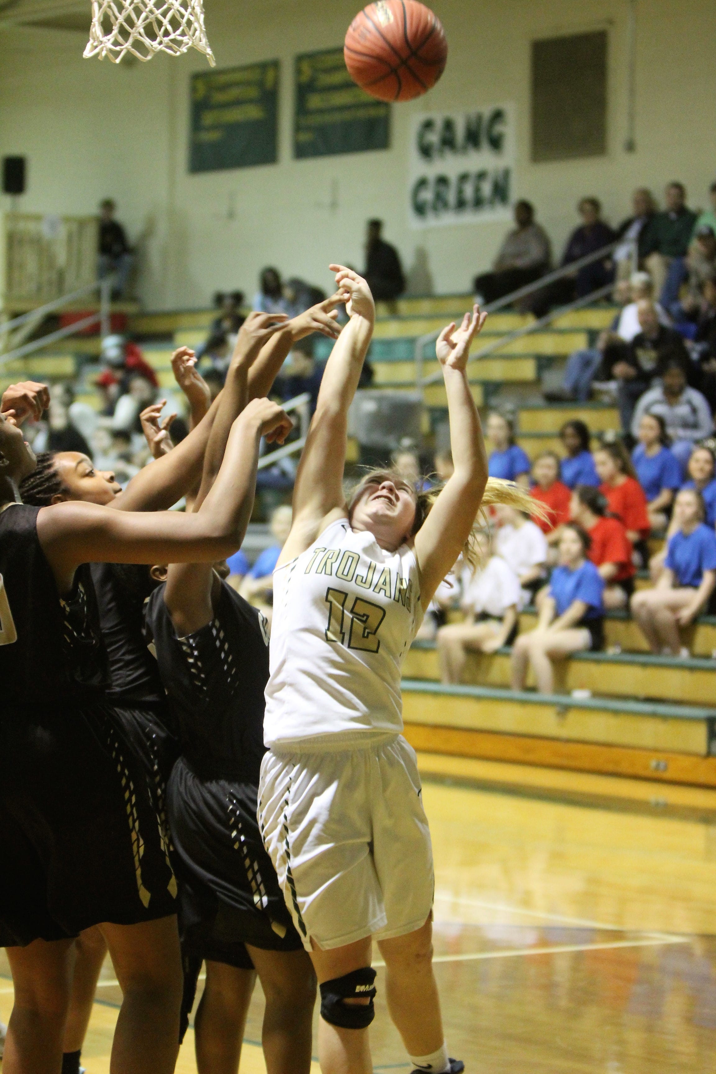 HC girls triumph at South Johnston, 4529