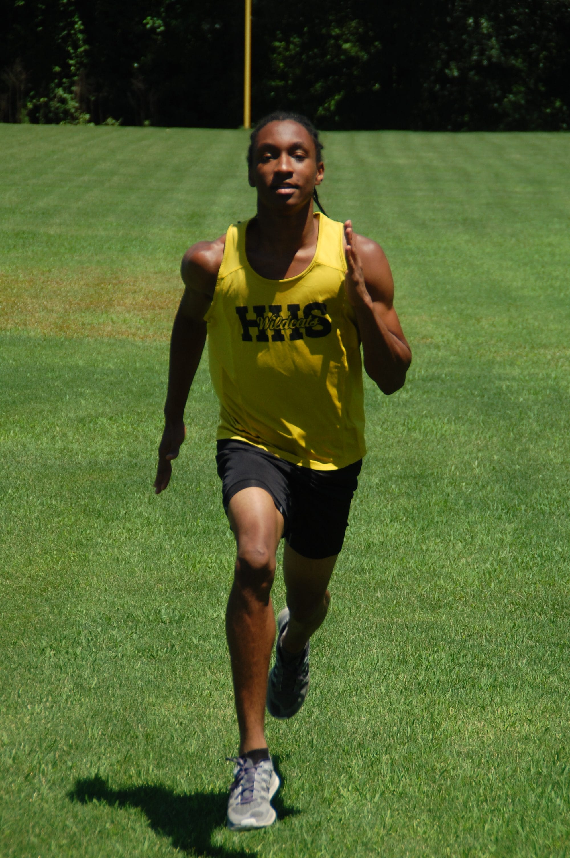 Wildcats win track titles