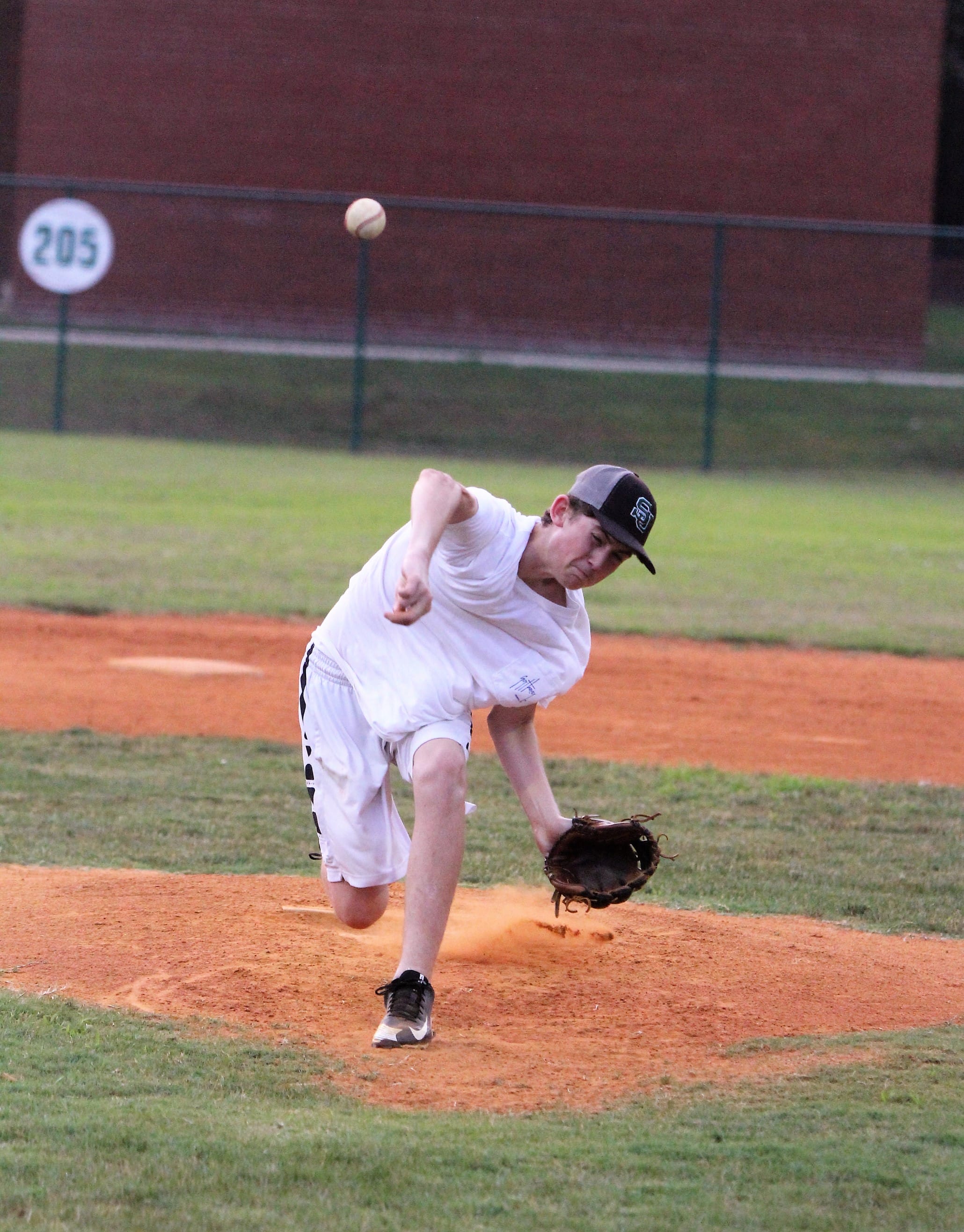 Dunn Majors All-Stars dominant in district tournament