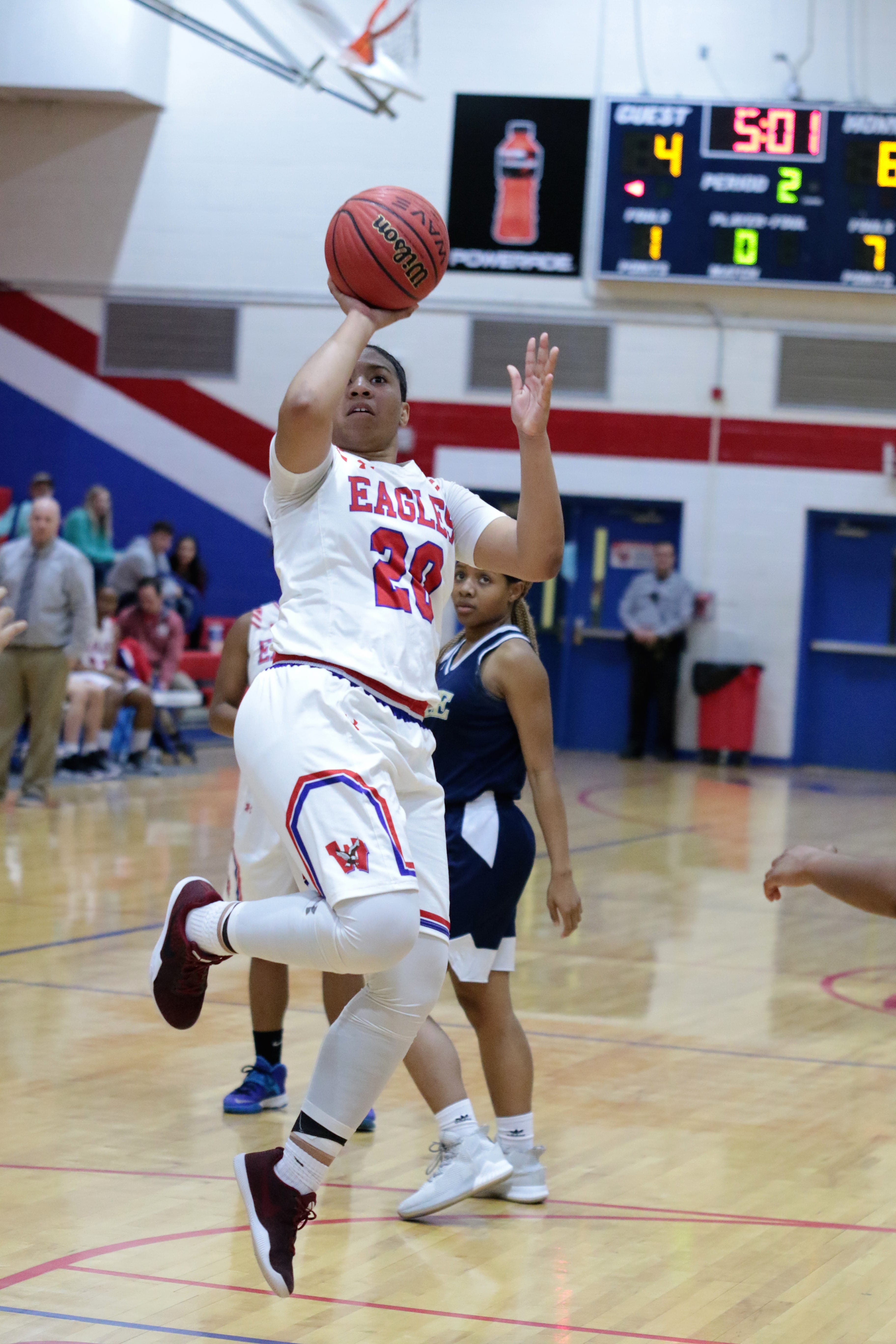 Western Harnett splits with Lee