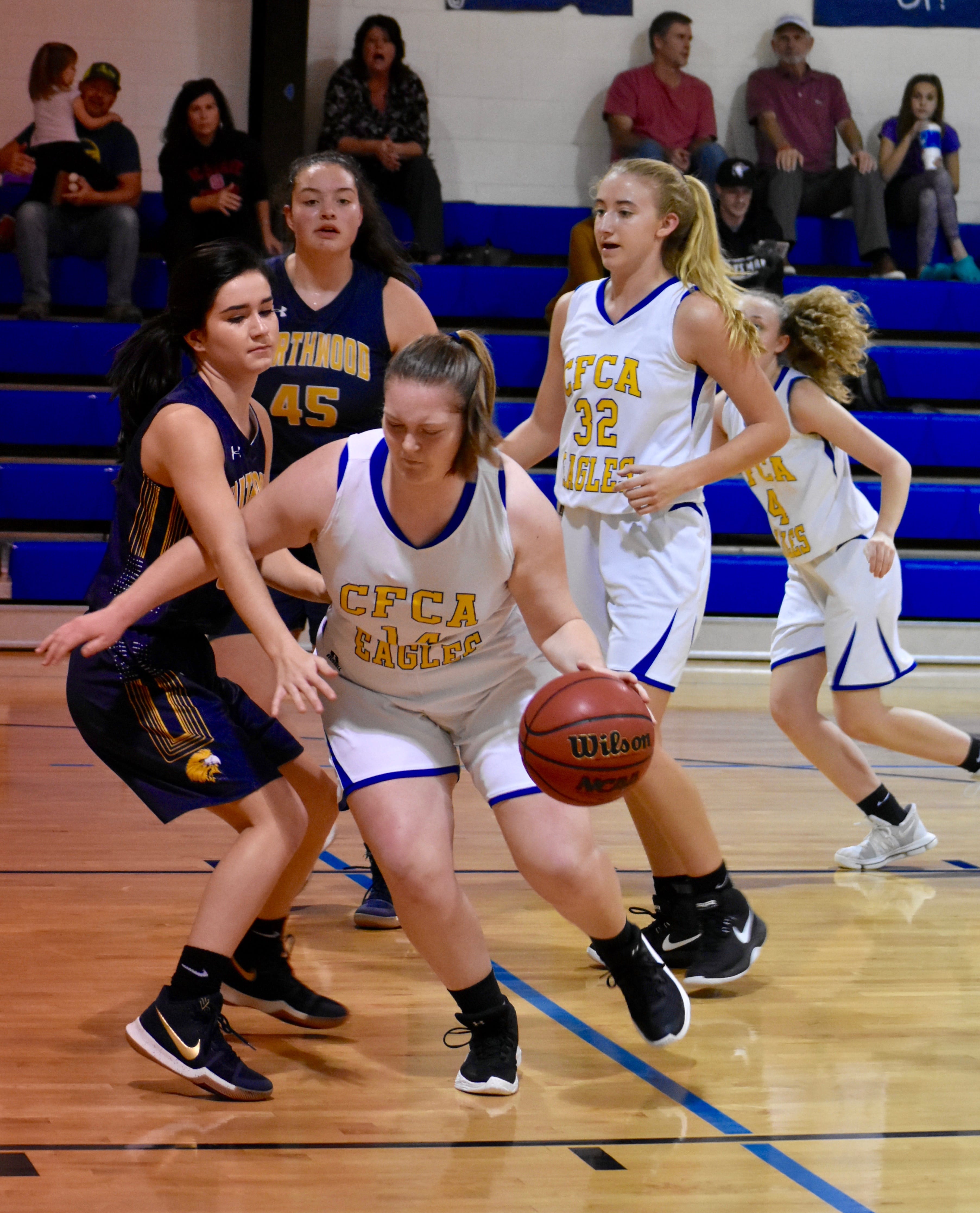 Eagles topped in SAC tournament, await state tournament pairings
