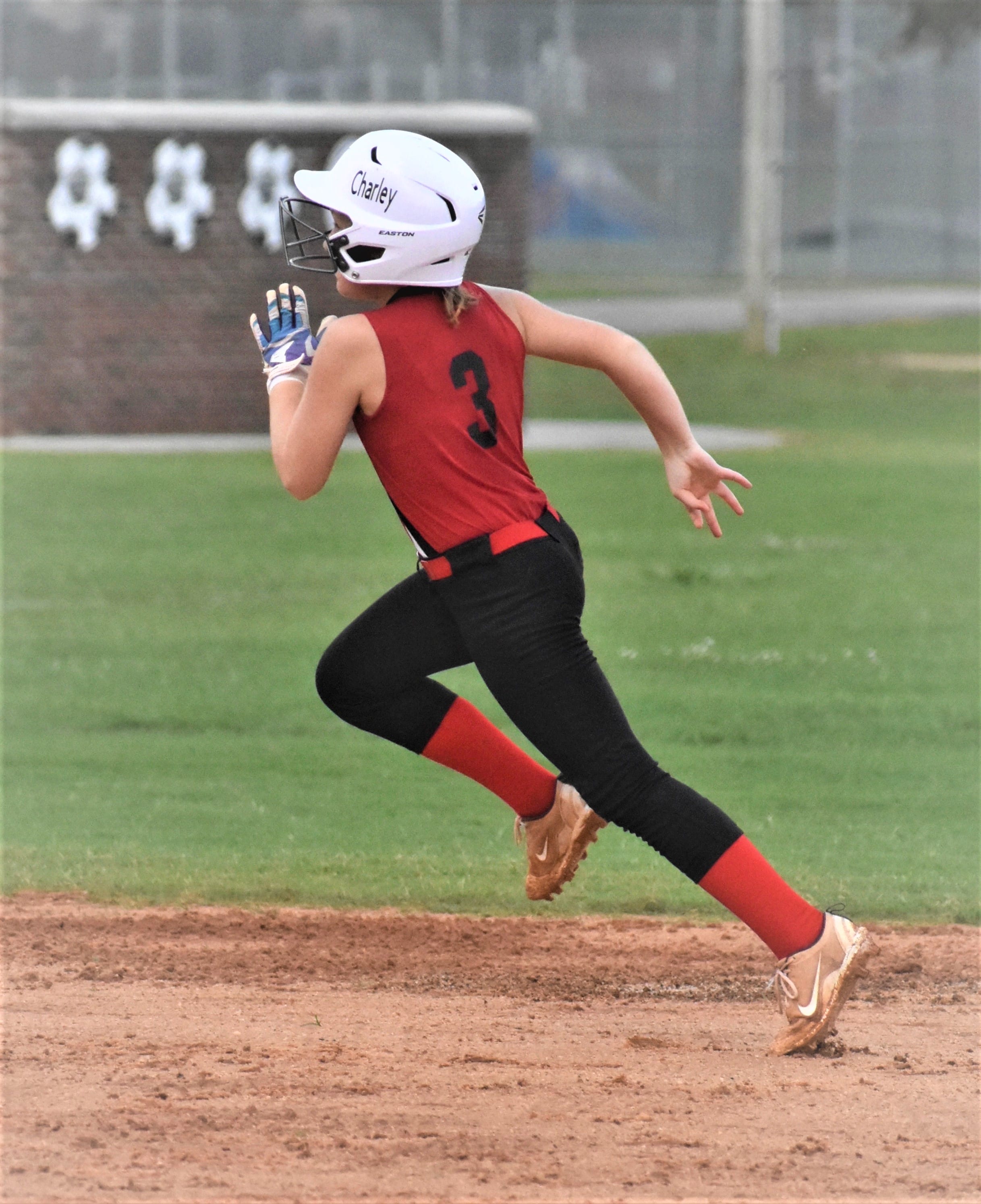 Erwin wins Tar Heel District III 10-and-under softball tournament