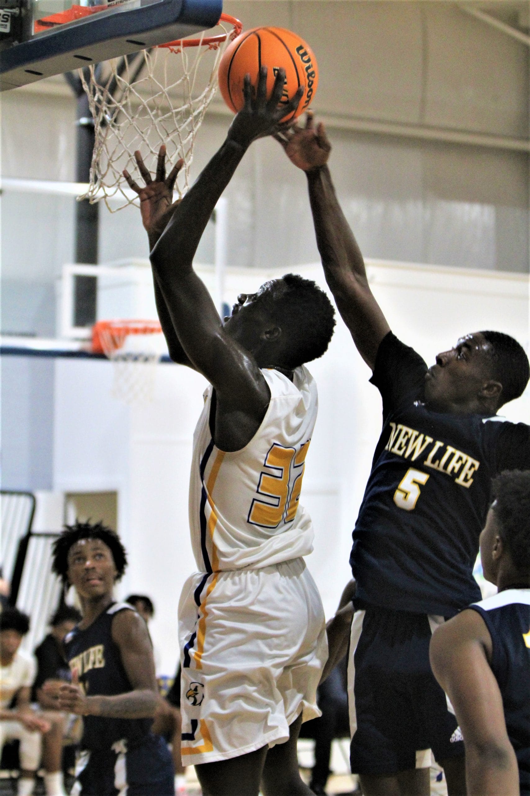 CFCA wins Senior Classic titles
