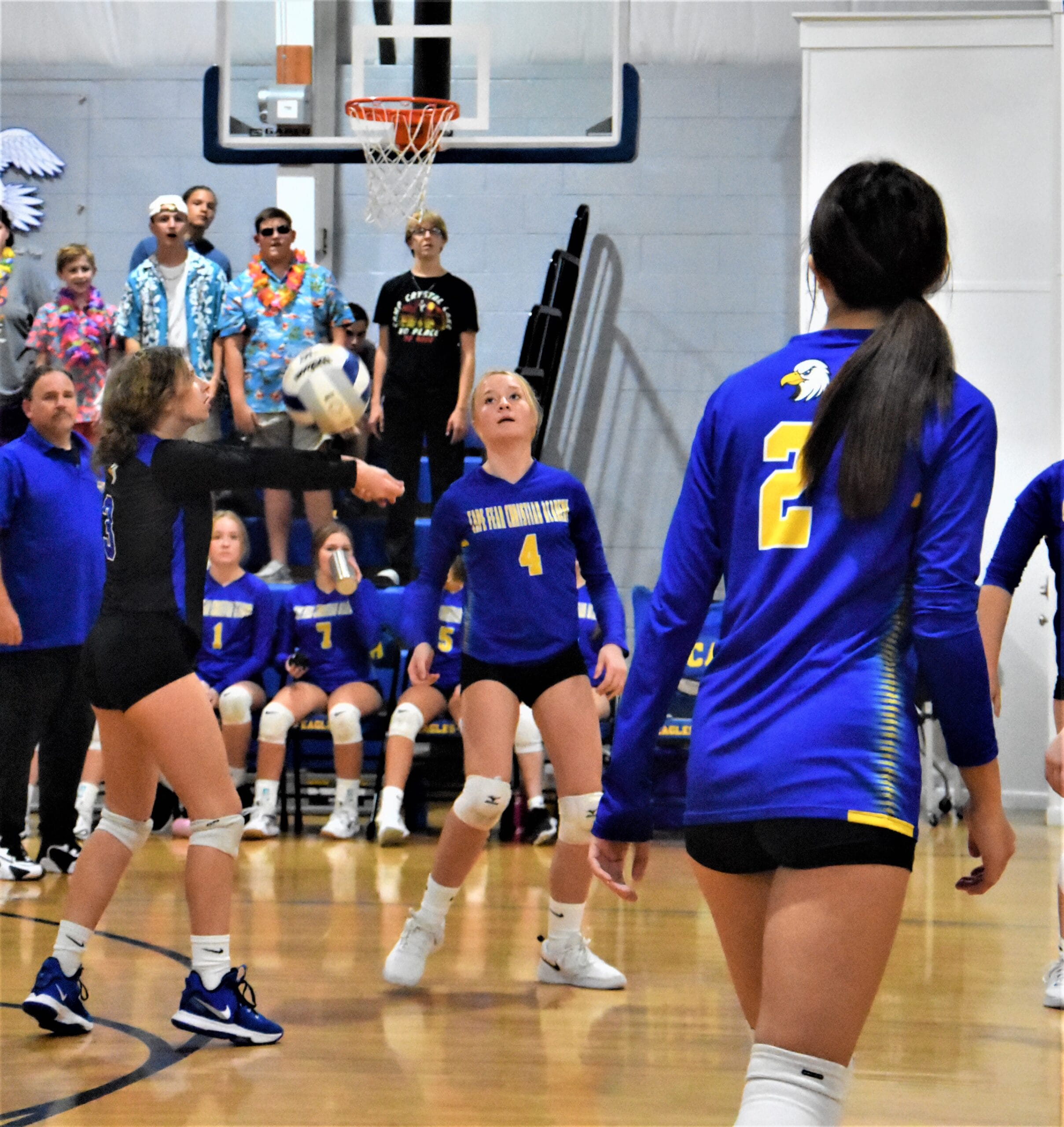 CFCA sweeps volleyball at Northwood Temple