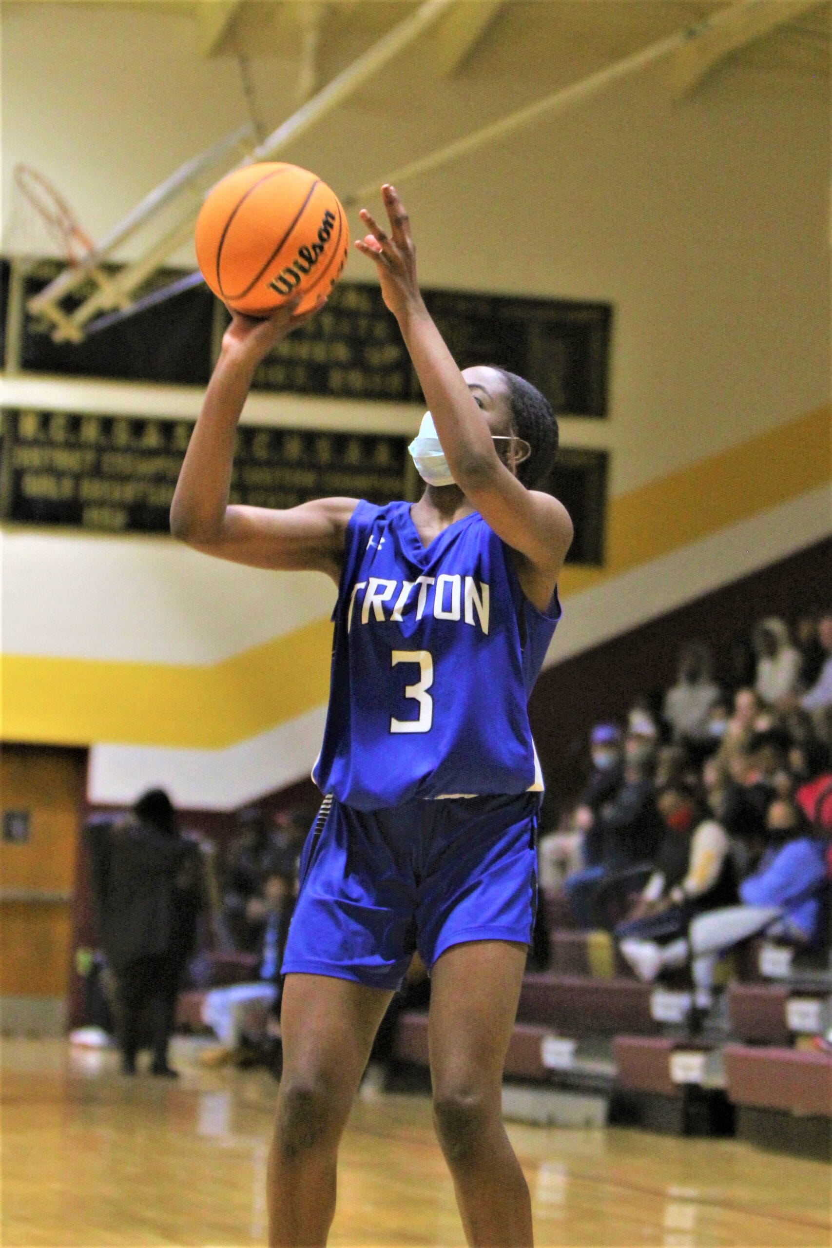 Lady Hawks win tipoff tournament as Triton sweeps Western