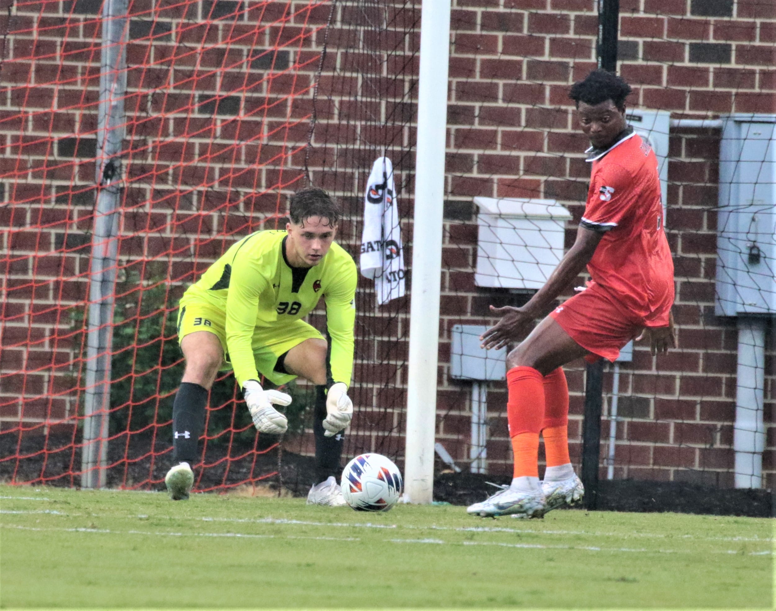 Camels, Coastal draw at 1