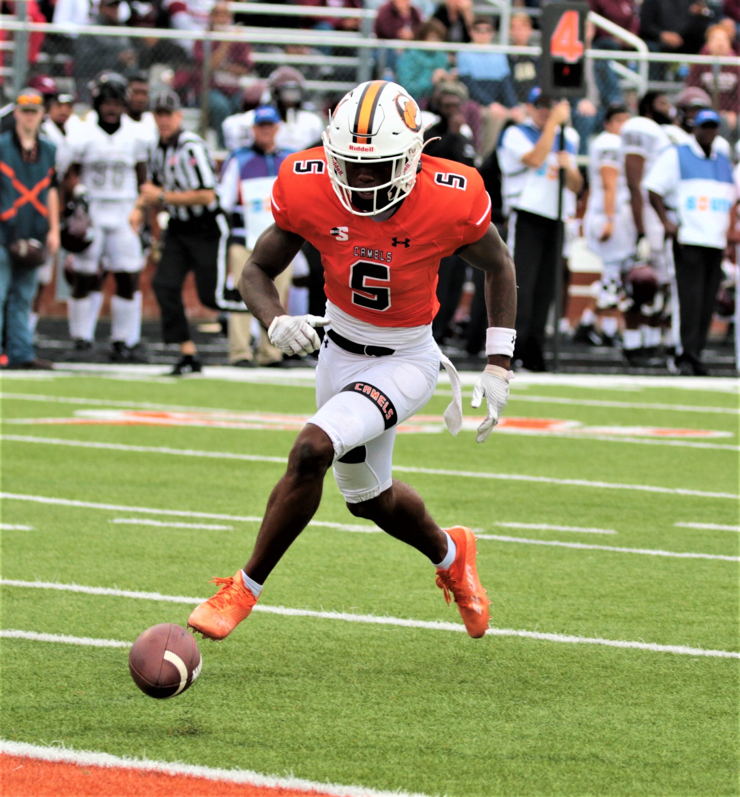 Camels cruise, 48-18